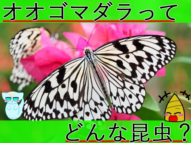 Thumbnail of post image 151